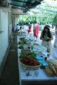 IMG_4965
